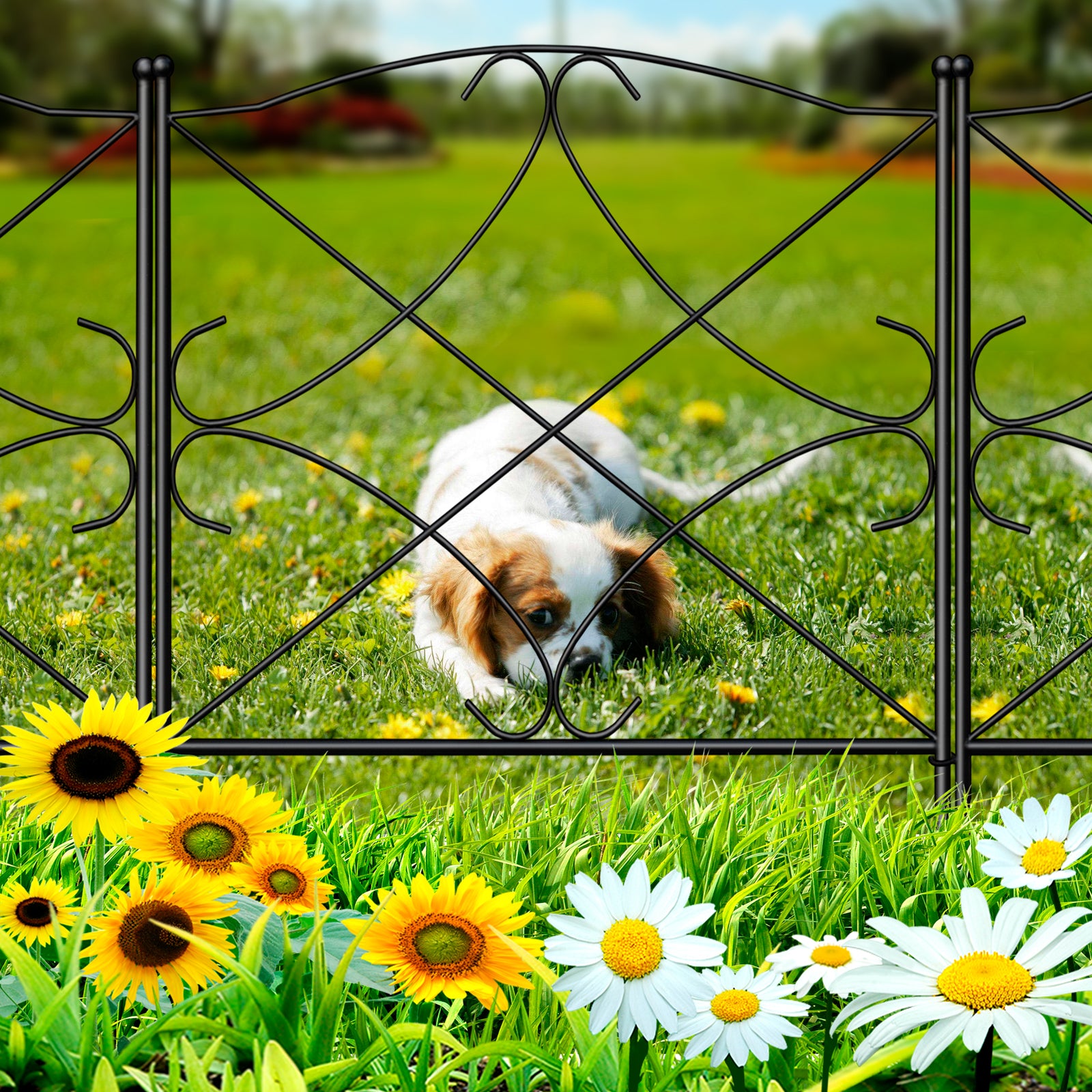 AMAGABELI GARDEN & HOME Decorative Garden Fences and Borders for Dogs  32in（H) x 10ft Garden Fencing Edging Border Animal Barrier No Dig Metal  Fence